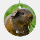 Search for guinea pig ornaments Rodent