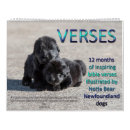 Search for bible verses calendars Spiritual