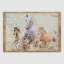 Search for wild horse tissue paper Decoupage
