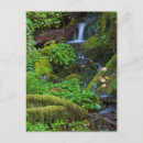 Search for olympic national park postcards Waterfall