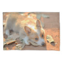 Search for corgi pillowcases Pet