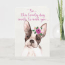 Search for from the dog birthday cards watercolor