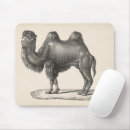 Search for camel gifts Animals