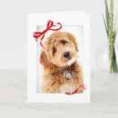Search for goldendoodle christmas cards Animal