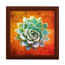 Search for succulent gift boxes Southwest