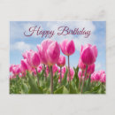 Search for happy birthday tulips postcards Pink