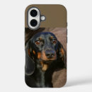Search for dachshund iphone cases Doxie