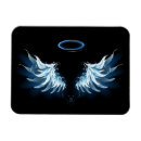 Search for blue angel magnets wings