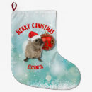 Search for hamster christmas stockings Santa