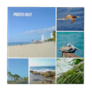 Search for pelican tiles Nature