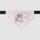 Search for cat collars Pink