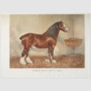 Search for clydesdale horse Vintage