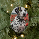 Search for dalmatian ornaments Pet