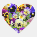 Search for pansy flower stickers Floral