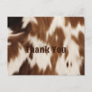 Search for cowboy thank you postcards Rodeo