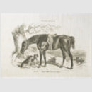 Search for horse decoupage paper Vintage