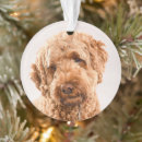 Search for dog breed ornaments Animal