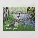 Search for black cat thank you postcards Animal