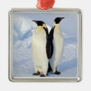 Search for antarctica ornaments Wildlife