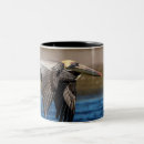 Search for florida mugs Nature