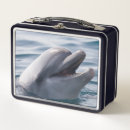 Search for dolphin gifts Beautiful