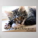 Search for window posters Kitten