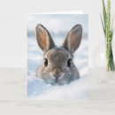Search for weather birthday cards Cute