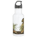 Search for american woodcock Audubon