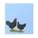 Search for chicken notepads Rooster