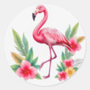 Search for tropical stickers Hawaii