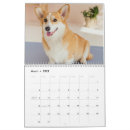 Search for funny dog calendars Corgi
