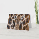 Search for giraffe birthday cards Brown