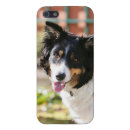 Search for dog cases Panting