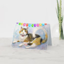 Search for calico cat cards Tortie