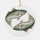 Search for fish ornaments Marine