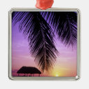 Search for florida key west ornaments Sun