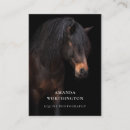 Search for horse business cards Equestrian