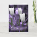Search for french sympathy cards Condolences
