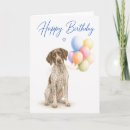 Search for german birthday cards German shorthaired pointer