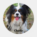 Search for papillon ornaments Pet