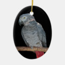 Search for african grey parrot ornaments Parrots