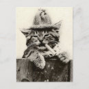 Search for vintage funny postcards Antique