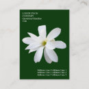 Search for magnolia flower business cards Stylish