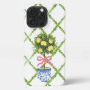Search for chinoiserie iphone cases Blue and white