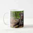 Search for lab mugs puppy