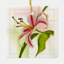 Search for white lily flower flowers lilies ornaments Botanical