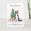 Search for border collie christmas cards Pet