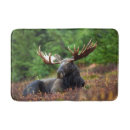 Search for moose bathroom accessories Wildlife