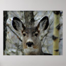 Search for mule posters Deer