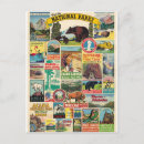 Search for american national park postcards Vintage